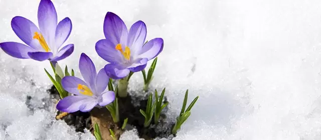 बुधवार 7 जनवरी 2026 के लिए राशिफल 