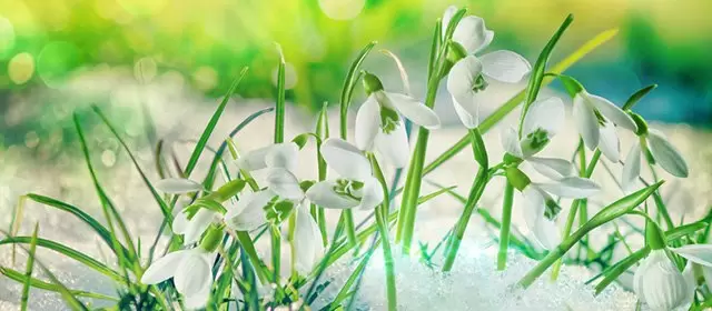 सोमवार 12 जनवरी 2026 के लिए राशिफल 