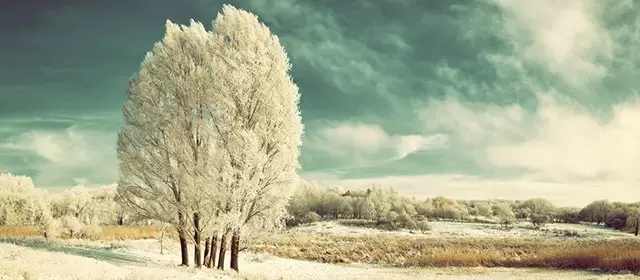 बुधवार 14 जनवरी 2026 के लिए राशिफल 