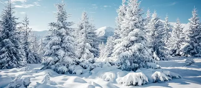 शनिवार 24 जनवरी 2026 के लिए राशिफल 