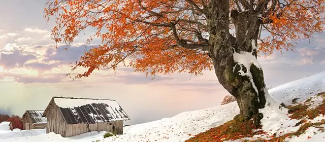 शनिवार 31 जनवरी 2026 के लिए राशिफल 