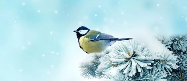 सोमवार 2 फरवरी 2026 के लिए राशिफल 