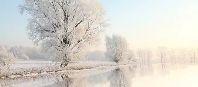 बुधवार 4 फरवरी 2026 के लिए राशिफल 