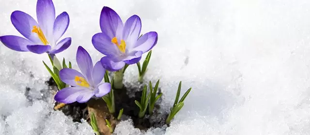 बृहस्पतिवार 5 फरवरी 2026 के लिए राशिफल 