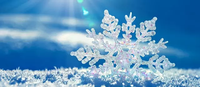 शनिवार 7 फरवरी 2026 के लिए राशिफल 