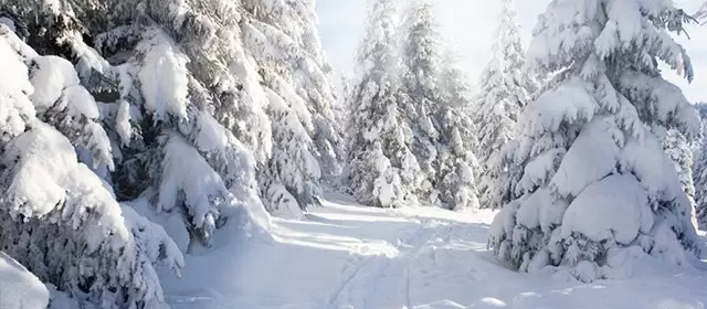 बुधवार 11 फरवरी 2026 के लिए राशिफल 