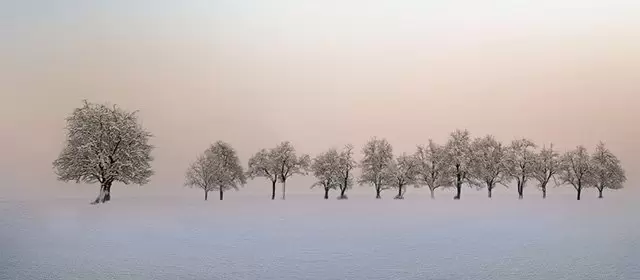 सोमवार 16 फरवरी 2026 के लिए राशिफल 