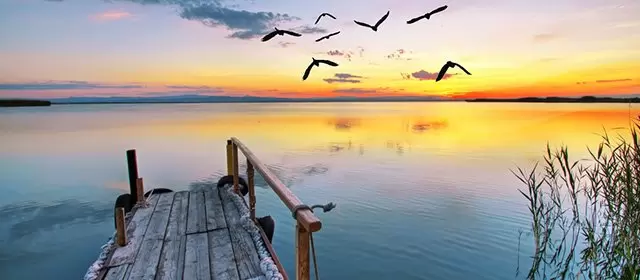 रविवार 1 मार्च 2026 के लिए राशिफल 