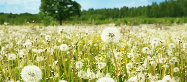 मंगलवार 3 मार्च 2026 के लिए राशिफल 