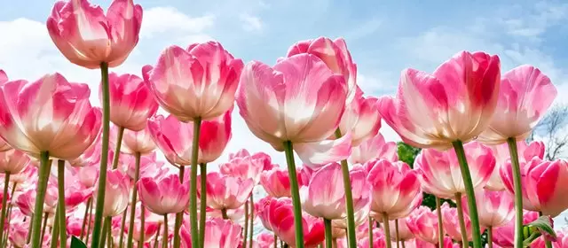 शनिवार 7 मार्च 2026 के लिए राशिफल 