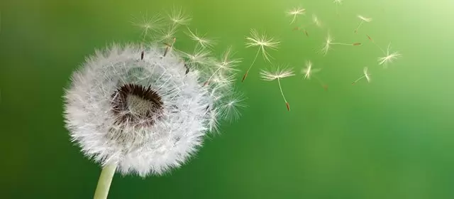 बुधवार 11 मार्च 2026 के लिए राशिफल 