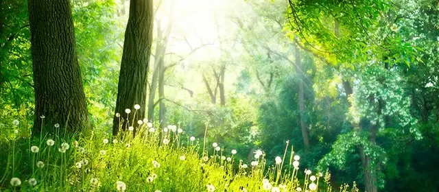 शुक्रवार 13 मार्च 2026 के लिए राशिफल 