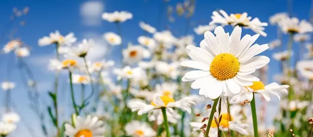 रविवार 15 मार्च 2026 के लिए राशिफल 