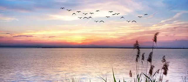 सोमवार 16 मार्च 2026 के लिए राशिफल 