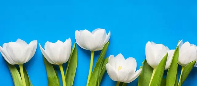 बुधवार 18 मार्च 2026 के लिए राशिफल 