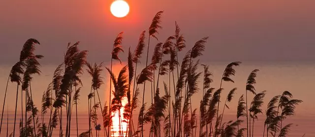 रविवार 5 अप्रैल 2026 के लिए राशिफल 