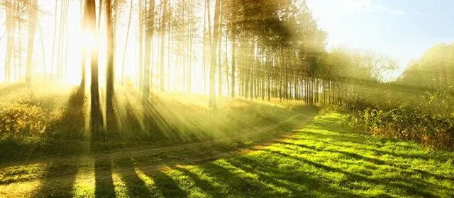 मंगलवार 7 अप्रैल 2026 के लिए राशिफल 