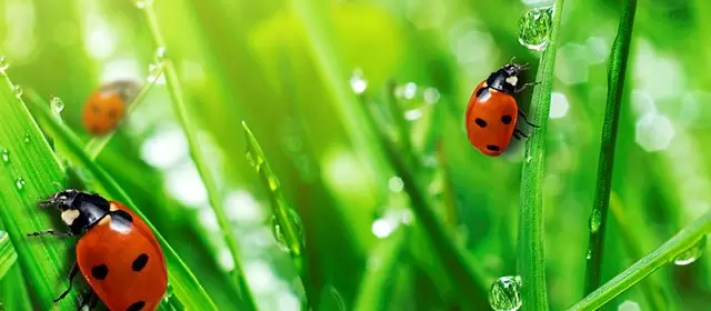 रविवार 12 अप्रैल 2026 के लिए राशिफल 