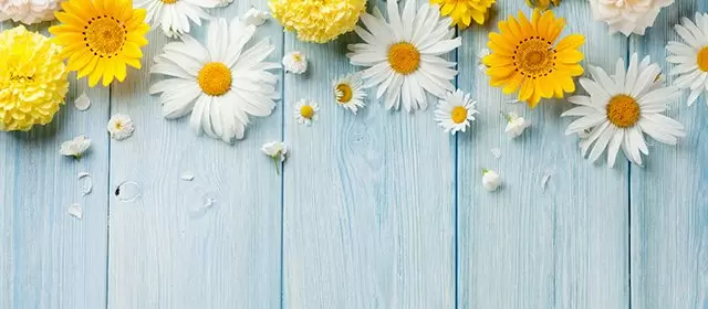 रविवार 19 अप्रैल 2026 के लिए राशिफल 