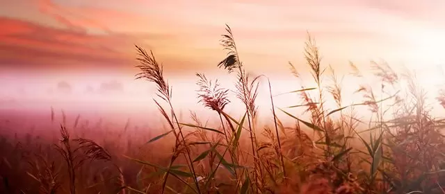 मंगलवार 4 नवम्बर 2025 के लिए राशिफल 