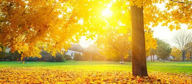 बुधवार 12 नवम्बर 2025 के लिए राशिफल 