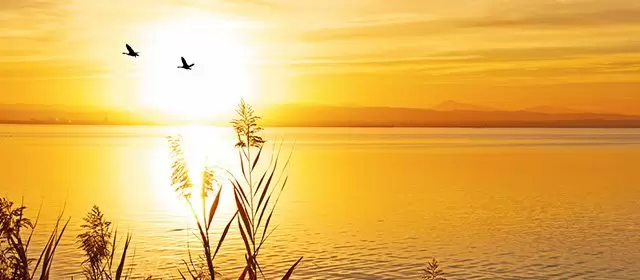 शुक्रवार 14 नवम्बर 2025 के लिए राशिफल 