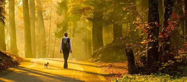 सोमवार 17 नवम्बर 2025 के लिए राशिफल 