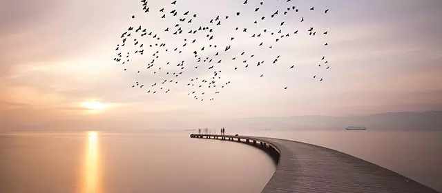 बृहस्पतिवार 20 नवम्बर 2025 के लिए राशिफल 