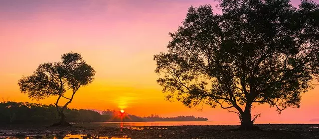 शनिवार 22 नवम्बर 2025 के लिए राशिफल 