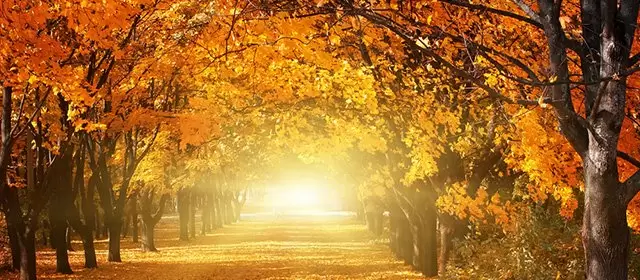 सोमवार 24 नवम्बर 2025 के लिए राशिफल 