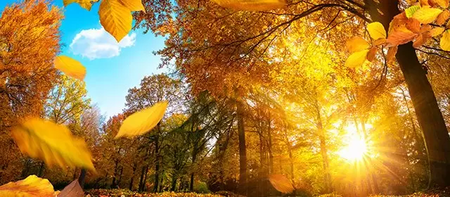 बुधवार 26 नवम्बर 2025 के लिए राशिफल 