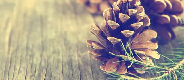 रविवार 7 दिसंबर 2025 के लिए राशिफल 