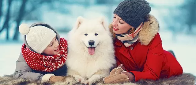 रविवार 14 दिसंबर 2025 के लिए राशिफल 