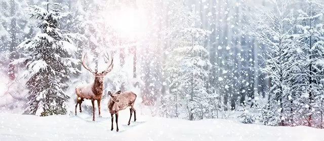 बुधवार 17 दिसंबर 2025 के लिए राशिफल 