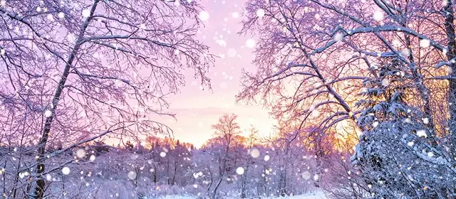 सोमवार 22 दिसंबर 2025 के लिए राशिफल 