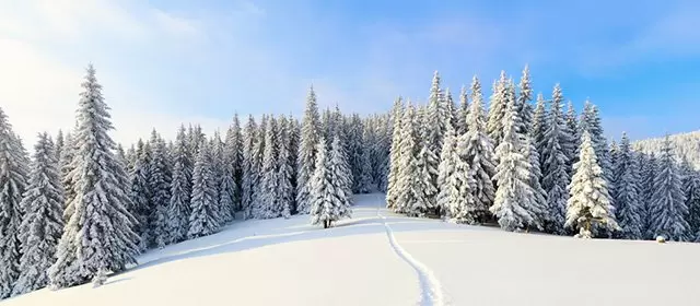 मंगलवार 30 दिसंबर 2025 के लिए राशिफल 